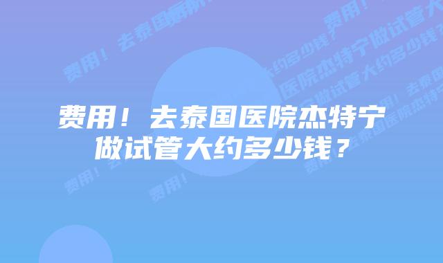费用!去泰国医院杰特宁做试管大约多少钱?
