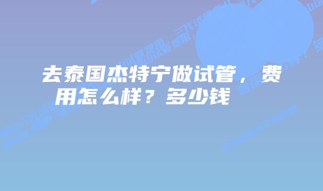 去泰国杰特宁做试管,费用怎么样?多少钱