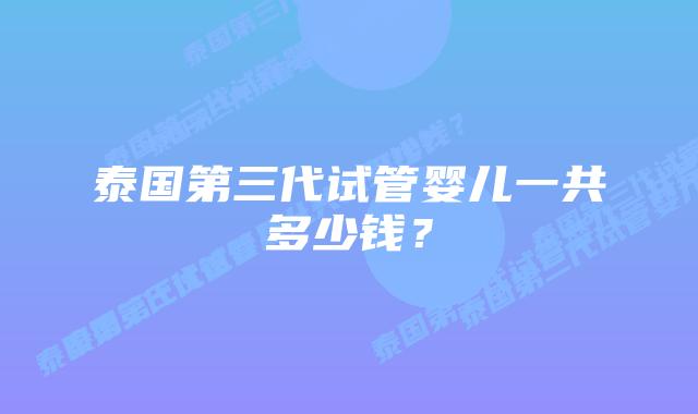 泰国第三代试管婴儿一共多少钱?