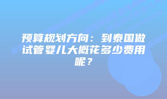 预算规划方向:到泰国做试管婴儿大概花多少费用呢?