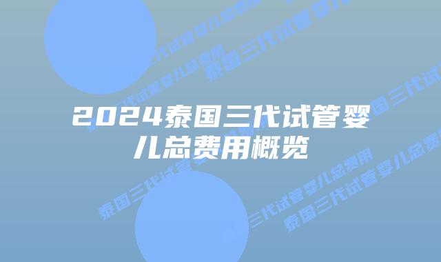 2024泰国三代试管婴儿总费用概览