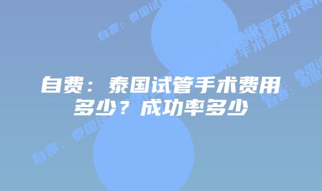 自费:泰国试管手术费用多少?成功率多少