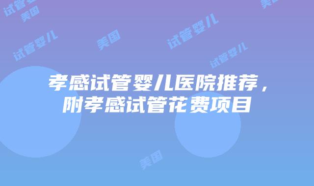 孝感试管婴儿医院推荐，附孝感试管花费项目