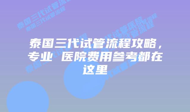 泰国三代试管流程攻略，专业 医院费用参考都在这里