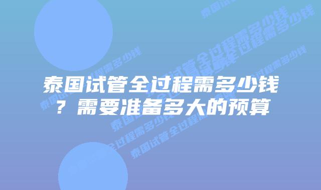 泰国试管全过程需多少钱?需要准备多大的预算
