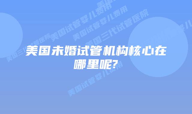 美国未婚试管机构核心在哪里呢?