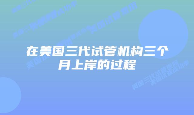 在美国三代试管机构三个月上岸的过程