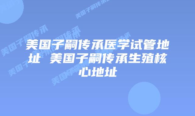 美国子嗣传承医学试管地址 美国子嗣传承生殖核心地址