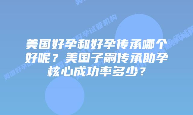 美国好孕和好孕传承哪个好呢?美国子嗣传承助孕核心成功率多少?
