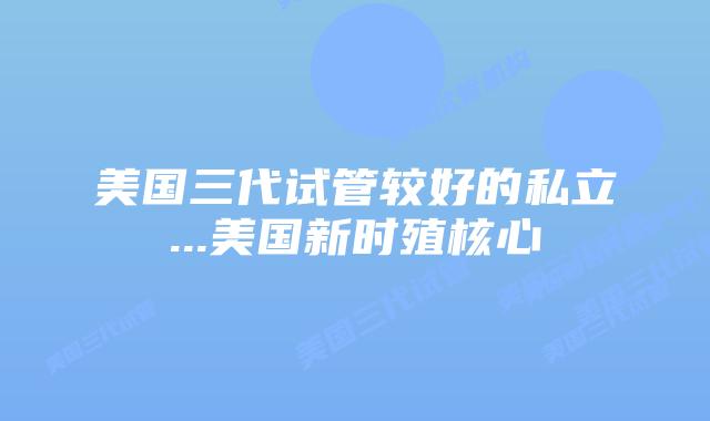 美国三代试管较好的私立...美国新时殖核心