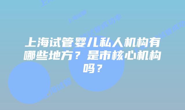 上海试管婴儿私人机构有哪些地方？是市核心机构吗？