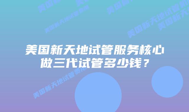 美国新天地试管服务核心做三代试管多少钱？