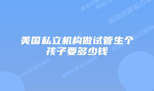 美国私立机构做试管生个孩子要多少钱