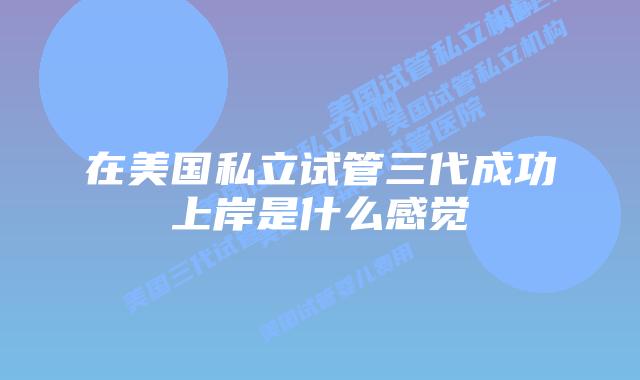 在美国私立试管三代成功上岸是什么感觉