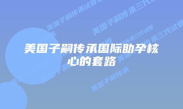 美国子嗣传承国际助孕核心的套路