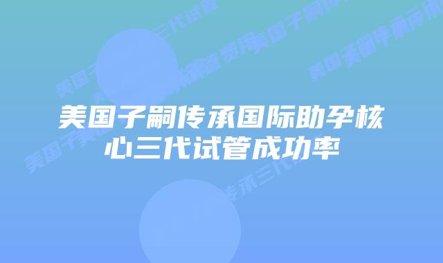 美国子嗣传承国际助孕核心三代试管成功率