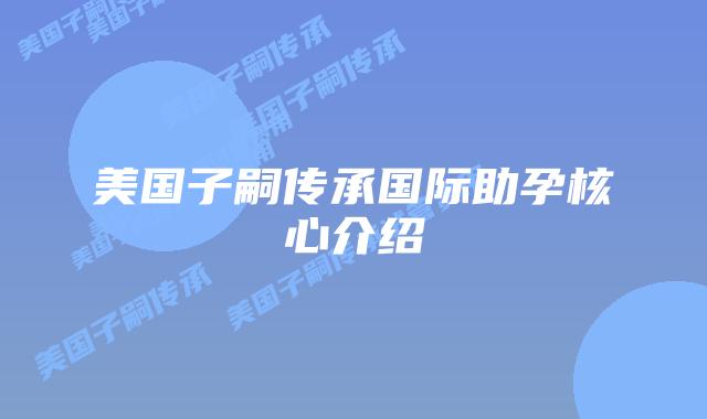 美国子嗣传承国际助孕核心介绍
