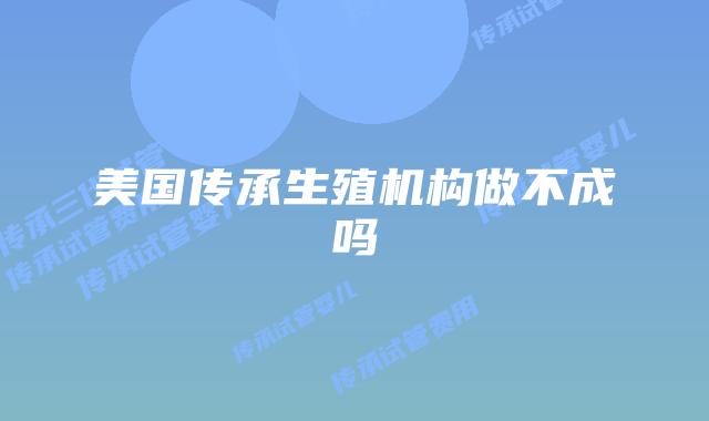 美国传承生殖机构做不成吗