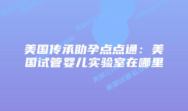 美国传承助孕点点通:美国试管婴儿实验室在哪里