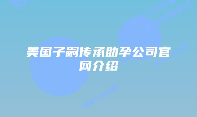 美国子嗣传承助孕公司官网介绍