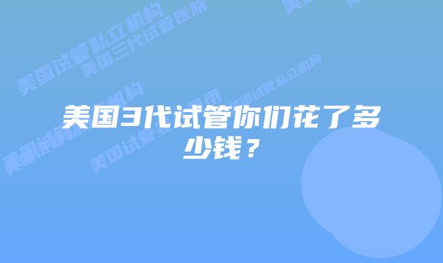 美国3代试管你们花了多少钱?