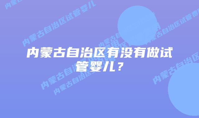 内蒙古自治区有没有做试管婴儿？