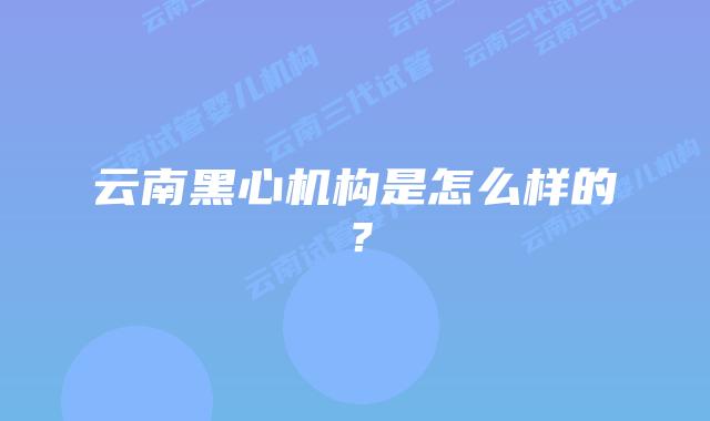 云南黑心机构是怎么样的？