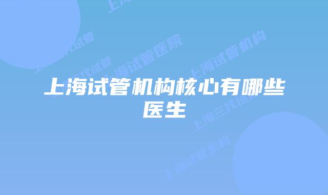 上海试管机构核心有哪些医生
