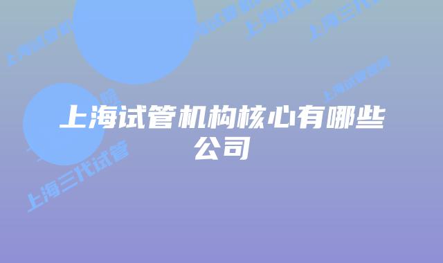 上海试管机构核心有哪些公司