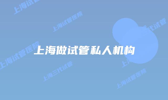 上海做试管私人机构