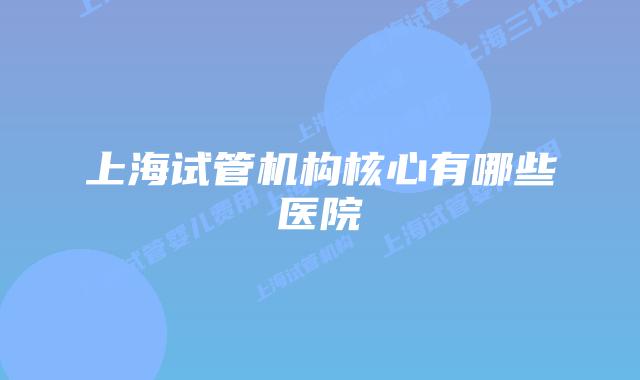 上海试管机构核心有哪些医院