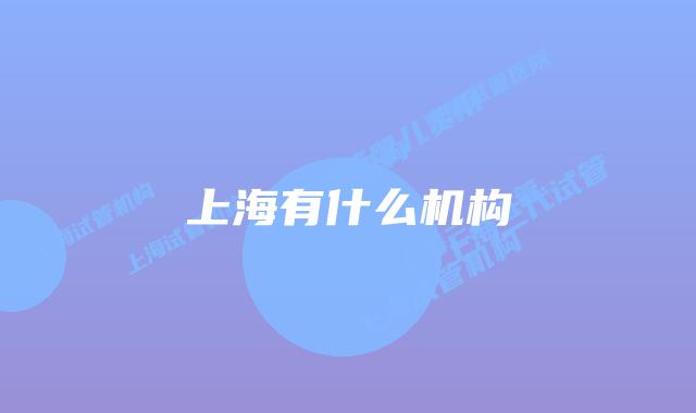 上海有什么机构