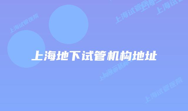 上海地下试管机构地址