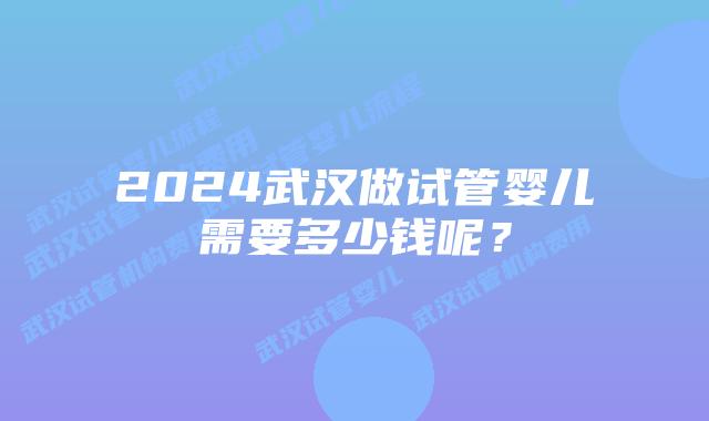 2024武汉做试管婴儿需要多少钱呢？
