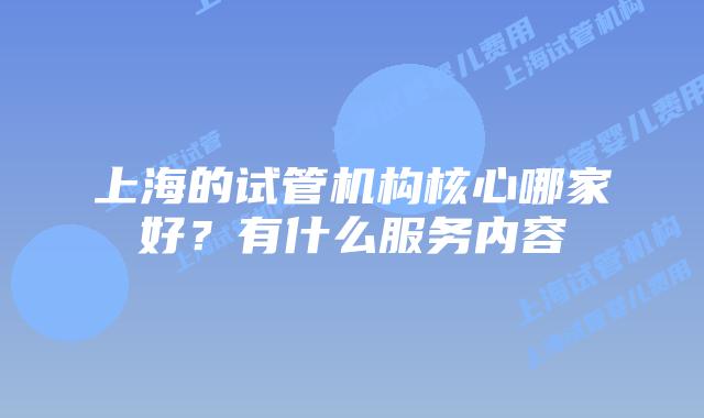 上海的试管机构核心哪家好？有什么服务内容