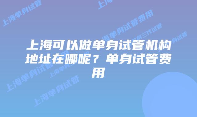 上海可以做单身试管机构地址在哪呢？单身试管费用