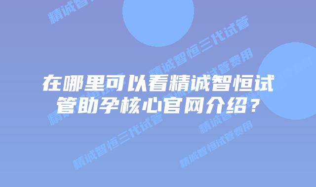 在哪里可以看精诚智恒试管助孕核心官网介绍？