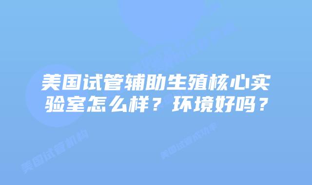 美国试管辅助生殖核心实验室怎么样？环境好吗？