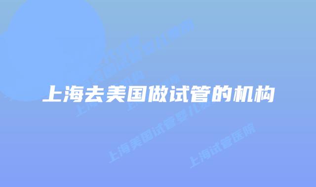 上海去美国做试管的机构