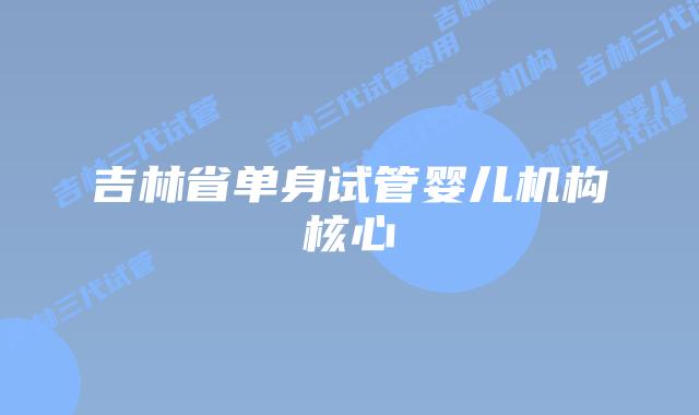 吉林省单身试管婴儿机构核心