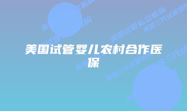 美国试管婴儿农村合作医保
