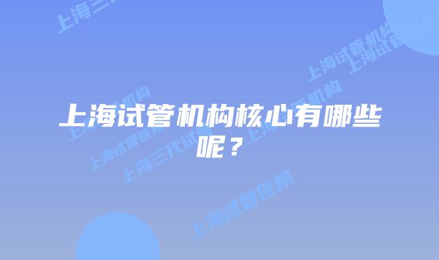 上海试管机构核心有哪些呢?