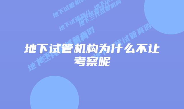 地下试管机构为什么不让考察呢