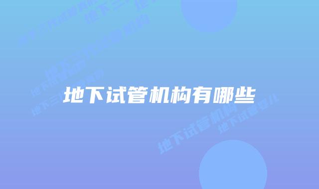 地下试管机构有哪些