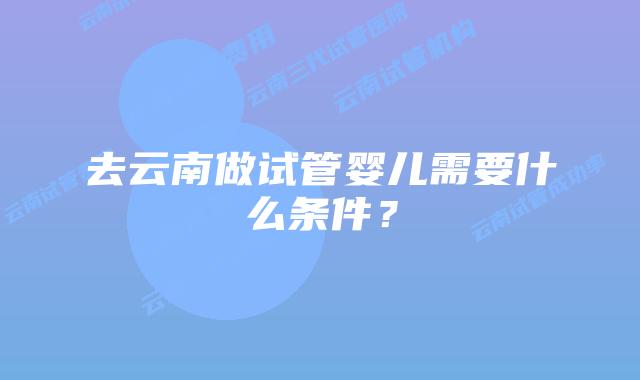 去云南做试管婴儿需要什么条件？