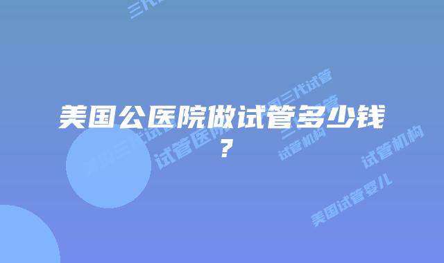 美国公医院做试管多少钱?