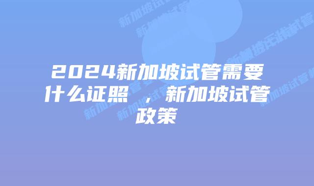 2024新加坡试管需要什么证照 ，新加坡试管政策