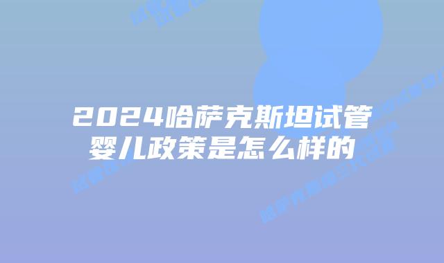 2024哈萨克斯坦试管婴儿政策是怎么样的
