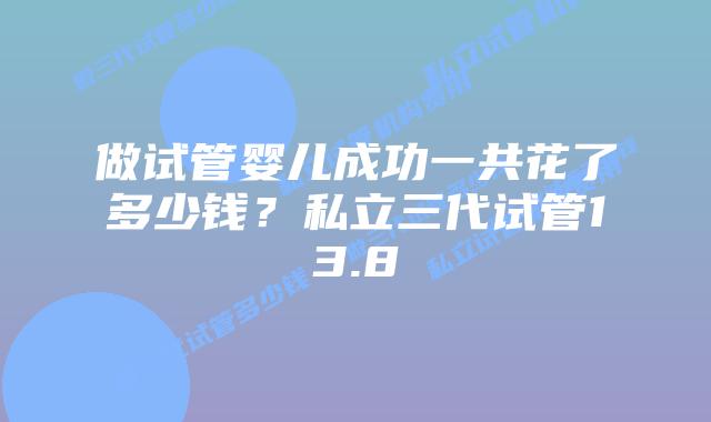 做试管婴儿成功一共花了多少钱?私立三代试管13.8