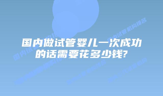 国内做试管婴儿一次成功的话需要花多少钱?